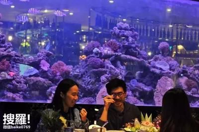 东莞水族馆vs祥龙鱼场（东莞水族馆与祥龙鱼场之间的区别） 全国水族馆企业名录 第4张