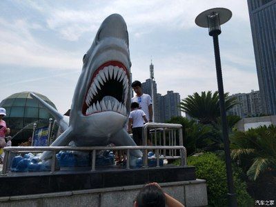 株洲水族馆vs祥龙鱼场（株洲水族馆与祥龙鱼场各有侧重） 全国水族馆企业名录 第3张