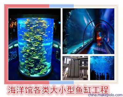 株洲水族馆vs祥龙鱼场（株洲水族馆与祥龙鱼场各有侧重） 全国水族馆企业名录 第4张