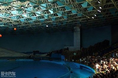 齐齐哈尔水族馆vs祥龙鱼场（齐齐哈尔水族馆——祥龙鱼场） 全国水族馆企业名录 第3张