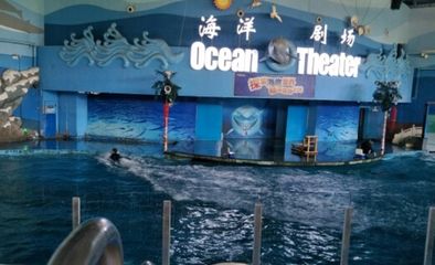 银川水族馆vs祥龙鱼场（银川水族馆是一家知名水族馆之一，祥龙鱼场将是您的好去处） 全国水族馆企业名录 第2张