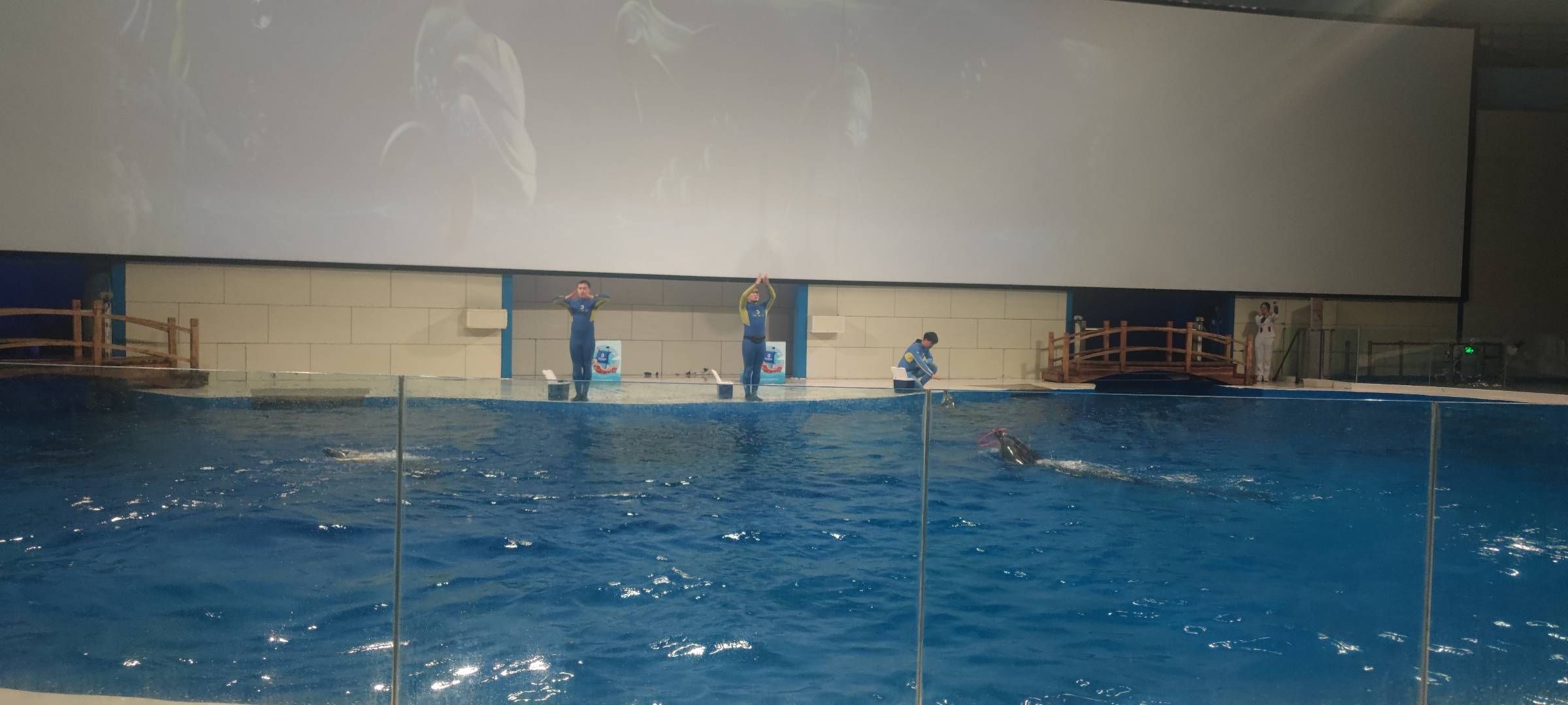 日照水族馆vs祥龙鱼场（日照水族馆与祥龙鱼场各有侧重） 全国水族馆企业名录 第1张