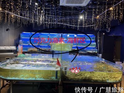 日照水族馆vs祥龙鱼场（日照水族馆与祥龙鱼场各有侧重） 全国水族馆企业名录 第2张