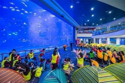 日照水族馆vs祥龙鱼场（日照水族馆与祥龙鱼场各有侧重） 全国水族馆企业名录 第4张