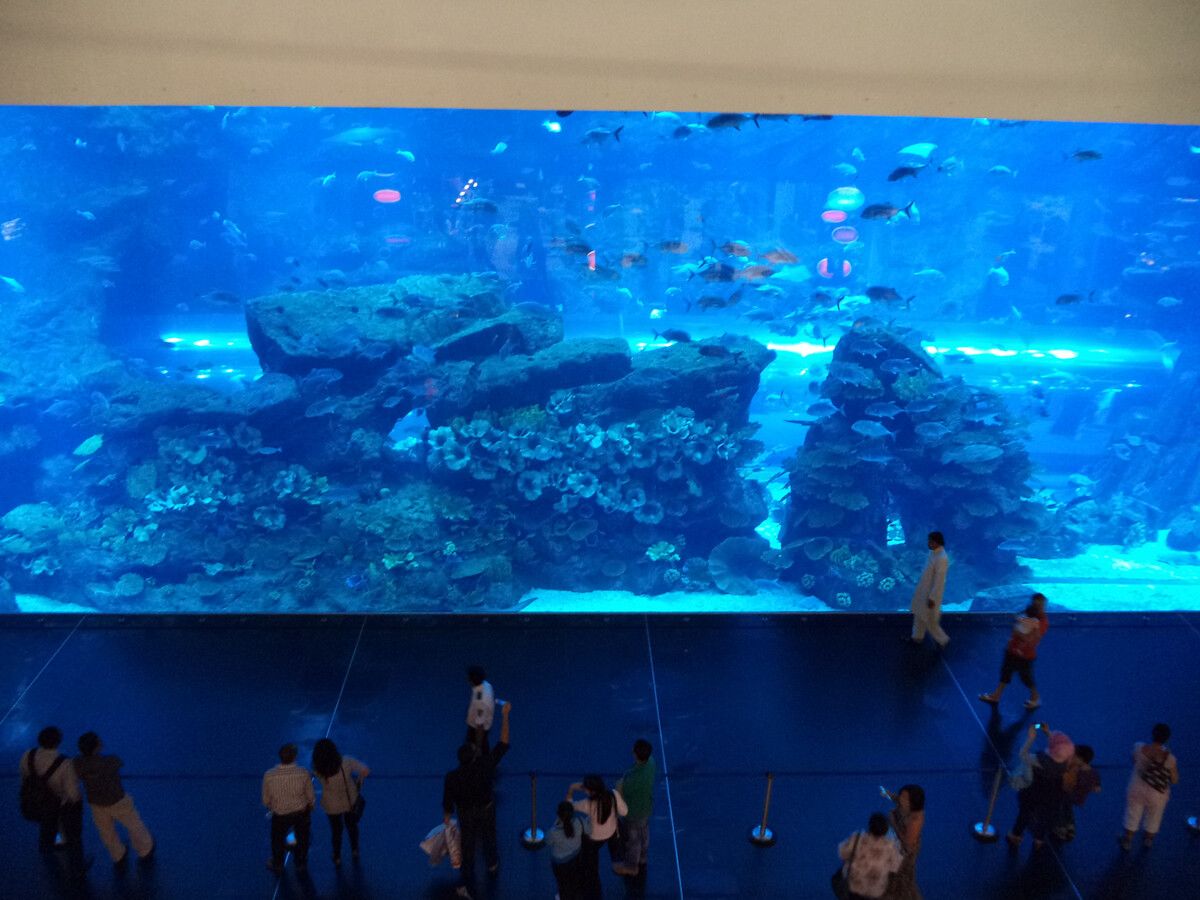 灞桥区水族馆vs祥龙鱼场（灞桥区水族馆与祥龙鱼场） 全国水族馆企业名录 第1张