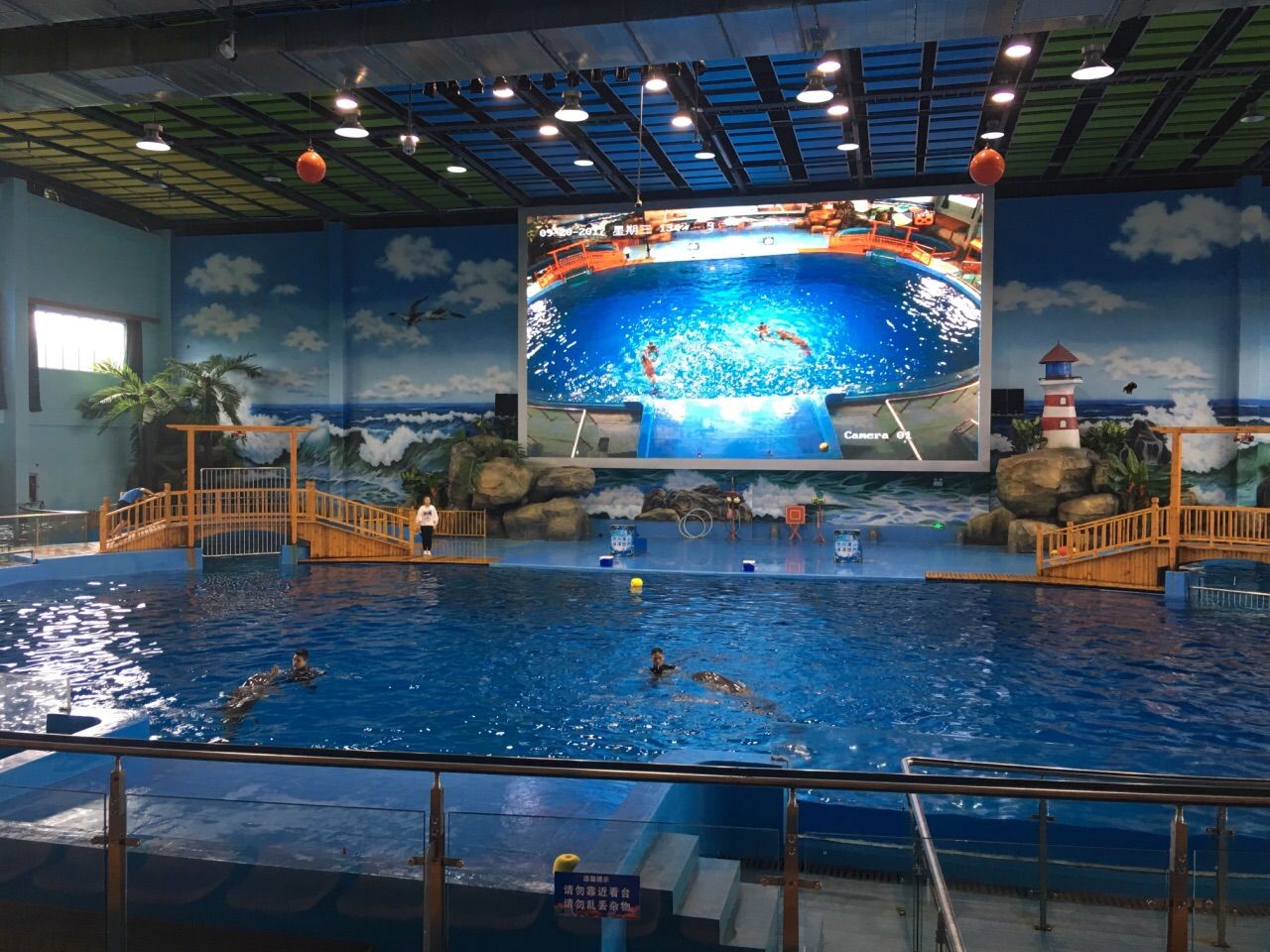 灞桥区水族馆vs祥龙鱼场（灞桥区水族馆与祥龙鱼场） 全国水族馆企业名录 第4张