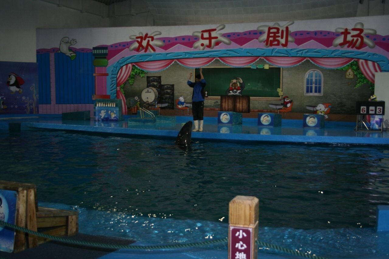 濮阳水族馆vs祥龙鱼场（探讨濮阳水族馆与祥龙鱼场之间的差异，我们需要明确基本信息和特点） 全国水族馆企业名录 第2张