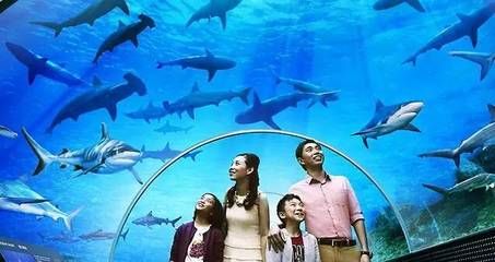 阿里水族馆vs祥龙鱼场（探讨阿里水族馆与祥龙鱼场之间的对比之前需要明确两者的基本信息） 全国水族馆企业名录 第3张