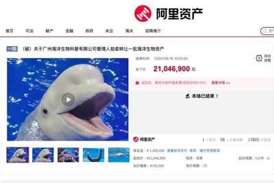 阿里水族馆vs祥龙鱼场（探讨阿里水族馆与祥龙鱼场之间的对比之前需要明确两者的基本信息） 全国水族馆企业名录 第4张