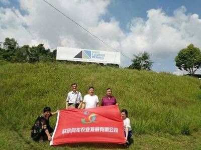 洛阳龙鱼vs祥龙鱼场（探讨洛阳龙鱼与祥龙鱼场之间的差异之前需要明确两个概念） 全国水族馆企业名录 第4张