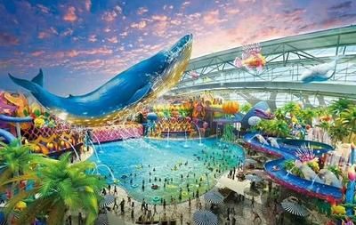 西宁水族馆vs祥龙鱼场（西宁水族馆位于青海省西宁市主要经营观赏鱼、水族器材等产品） 全国水族馆企业名录 第5张