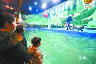 娄底水族馆vs祥龙鱼场（娄底水族馆与祥龙鱼场各有其特色和专业领域） 全国水族馆企业名录 第1张