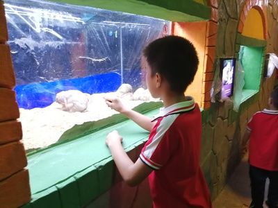 娄底水族馆vs祥龙鱼场（娄底水族馆与祥龙鱼场各有其特色和专业领域） 全国水族馆企业名录 第3张