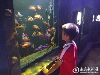 娄底水族馆vs祥龙鱼场（娄底水族馆与祥龙鱼场各有其特色和专业领域） 全国水族馆企业名录 第5张