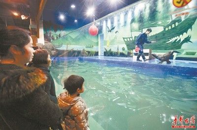 娄底水族馆vs祥龙鱼场（娄底水族馆与祥龙鱼场各有其特色和专业领域） 全国水族馆企业名录 第4张