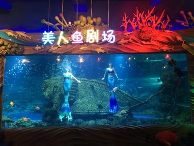 西安水族馆vs祥龙鱼场（西安水族馆与祥龙鱼场哪个好） 全国水族馆企业名录 第1张