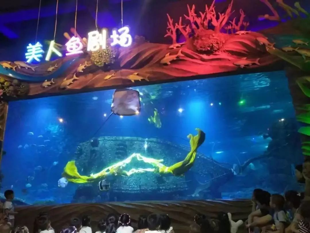 西安水族馆vs祥龙鱼场（西安水族馆与祥龙鱼场哪个好） 全国水族馆企业名录 第2张