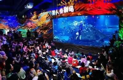 西安水族馆vs祥龙鱼场（西安水族馆与祥龙鱼场哪个好） 全国水族馆企业名录 第4张