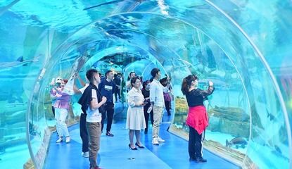 西双版纳傣族自治州水族馆vs祥龙鱼场（西双版纳傣族自治州水族馆与祥龙鱼场） 全国水族馆企业名录 第1张