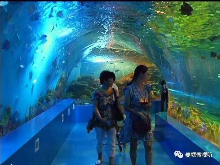 泰州水族馆vs祥龙鱼场（探讨泰州水族馆与祥龙鱼场的区别之前需要明确两者的主要业务和特点） 全国水族馆企业名录 第3张