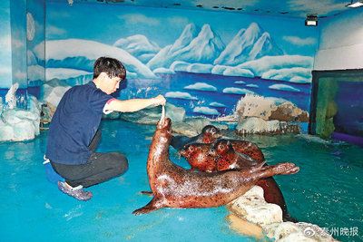 泰州水族馆vs祥龙鱼场（探讨泰州水族馆与祥龙鱼场的区别之前需要明确两者的主要业务和特点） 全国水族馆企业名录 第2张