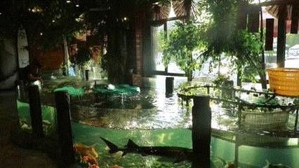 宜昌水族馆vs祥龙鱼场（宜昌水族馆和祥龙鱼场是一家集观赏、科普、休闲、娱乐为一体的水族馆） 全国水族馆企业名录 第5张