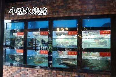 宜昌水族馆vs祥龙鱼场（宜昌水族馆和祥龙鱼场是一家集观赏、科普、休闲、娱乐为一体的水族馆） 全国水族馆企业名录 第2张