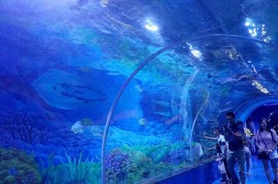 宜昌水族馆vs祥龙鱼场（宜昌水族馆和祥龙鱼场是一家集观赏、科普、休闲、娱乐为一体的水族馆） 全国水族馆企业名录 第3张