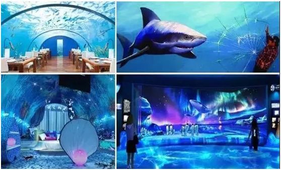 常德水族馆vs祥龙鱼场（常德水族馆位于中国湖南省常德市） 全国水族馆企业名录 第2张