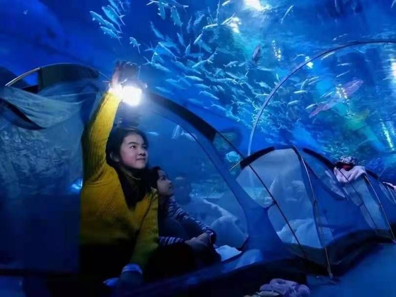 赣州水族馆vs祥龙鱼场（赣州水族馆和祥龙鱼场是与水族相关的场所，但它们之间存在不同） 全国水族馆企业名录 第4张