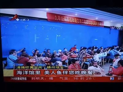 赣州水族馆vs祥龙鱼场（赣州水族馆和祥龙鱼场是与水族相关的场所，但它们之间存在不同） 全国水族馆企业名录 第5张