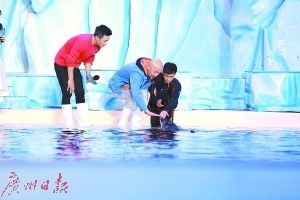 咸宁水族馆vs祥龙鱼场（咸宁水族馆与祥龙鱼场各有侧重） 全国水族馆企业名录 第3张