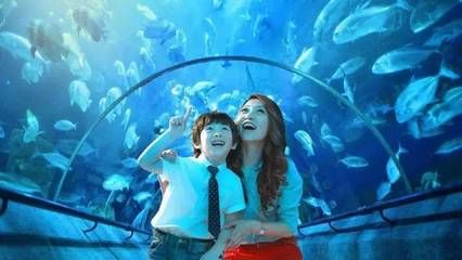 咸宁水族馆vs祥龙鱼场（咸宁水族馆与祥龙鱼场各有侧重） 全国水族馆企业名录 第4张