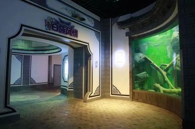 丽江水族馆vs祥龙鱼场（丽江水族馆与祥龙鱼场有什么区别？） 全国水族馆企业名录 第2张