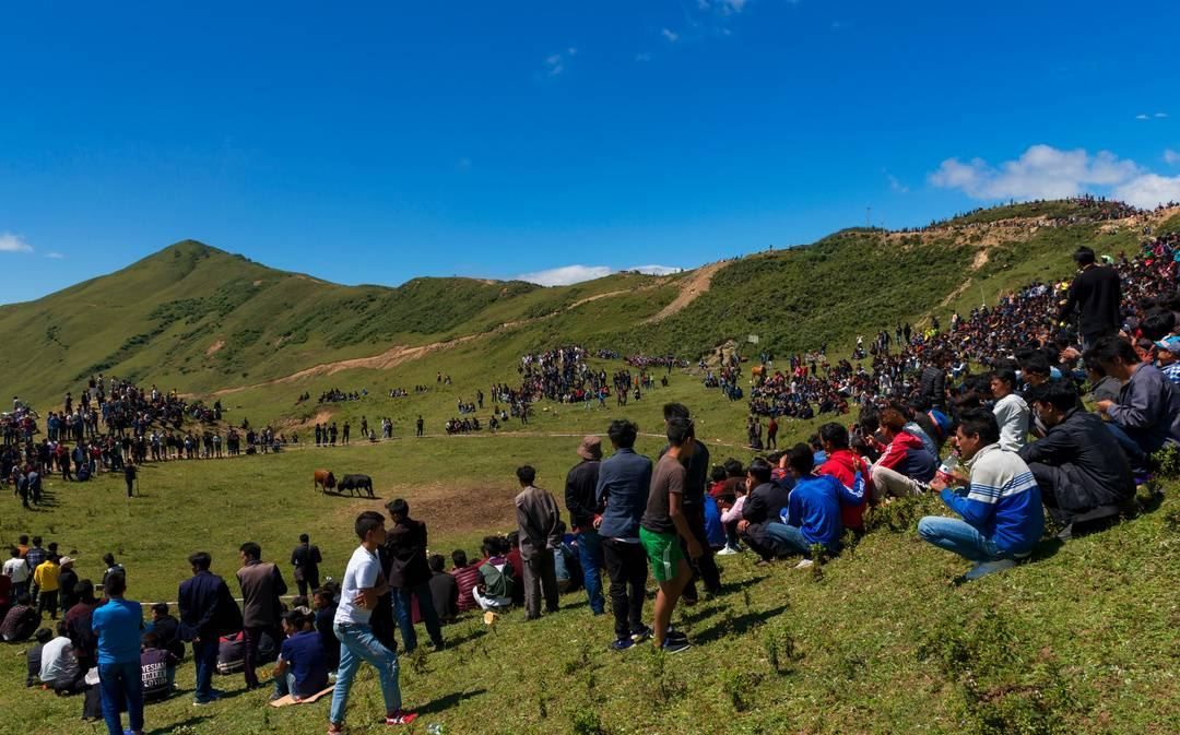 凉山彝族自治州龙鱼vs祥龙鱼场（凉山彝族自治州龙鱼和祥龙鱼场之前需要明确两者之间的差异） 全国水族馆企业名录 第5张