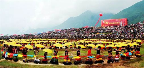 凉山彝族自治州龙鱼vs祥龙鱼场（凉山彝族自治州龙鱼和祥龙鱼场之前需要明确两者之间的差异） 全国水族馆企业名录 第2张