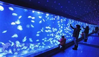 铜陵水族馆vs祥龙鱼场（铜陵水族馆可能涉及观赏鱼的销售和展示活动，铜陵水族馆可能有白点） 全国水族馆企业名录 第4张