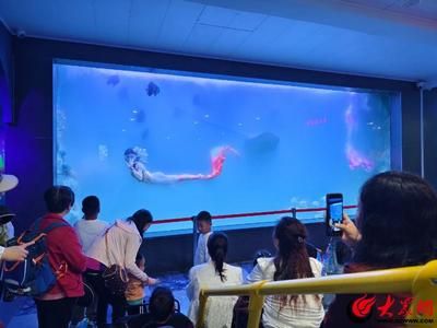 东营水族馆vs祥龙鱼场（东营水族馆与祥龙鱼场之间的差异之前需要明确两者的主要业务和特点） 全国水族馆企业名录 第3张