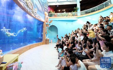 东营水族馆vs祥龙鱼场（东营水族馆与祥龙鱼场之间的差异之前需要明确两者的主要业务和特点） 全国水族馆企业名录 第5张