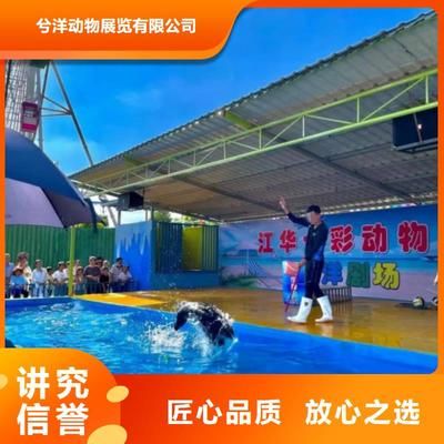 淮南水族馆vs祥龙鱼场（探讨淮南水族馆与祥龙鱼场之间的差异时，我们可以从多个角度分析） 全国水族馆企业名录 第2张