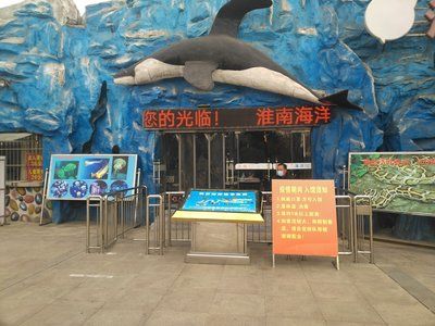 淮南水族馆vs祥龙鱼场（探讨淮南水族馆与祥龙鱼场之间的差异时，我们可以从多个角度分析） 全国水族馆企业名录 第3张