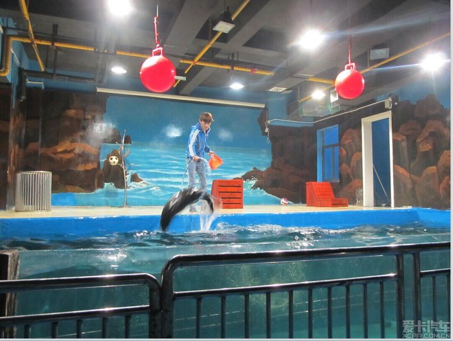 鄂州水族馆vs祥龙鱼场（湖北鄂州水族馆是一个专注于龙鱼养殖和出口的企业） 全国水族馆企业名录 第2张