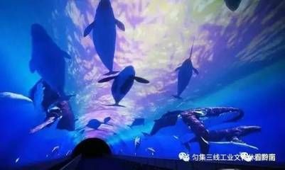 黔南布依族苗族自治州水族馆vs祥龙鱼场（贵州黔南布依族苗族自治州水族馆祥龙鱼场祥龙鱼场） 全国水族馆企业名录 第5张