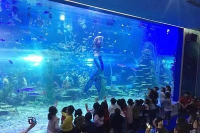 呼和浩特水族馆vs祥龙鱼场（呼和浩特水族馆与祥龙鱼场各有侧重） 全国水族馆企业名录 第1张