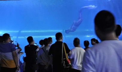 呼和浩特水族馆vs祥龙鱼场（呼和浩特水族馆与祥龙鱼场各有侧重） 全国水族馆企业名录 第3张