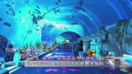 呼和浩特水族馆vs祥龙鱼场（呼和浩特水族馆与祥龙鱼场各有侧重） 全国水族馆企业名录 第5张