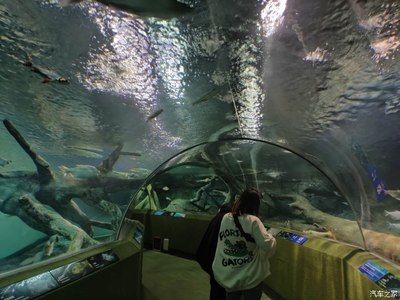 上海水族馆vs祥龙鱼场（上海水族馆和祥龙鱼场各有特色） 全国水族馆企业名录 第4张