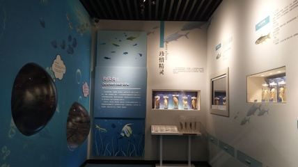 河池水族馆vs祥龙鱼场（河池水族馆和祥龙鱼场各有侧重） 全国水族馆企业名录 第5张