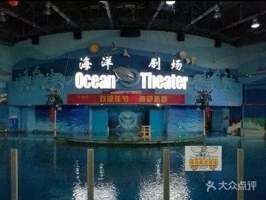 苏州水族馆vs祥龙鱼场（探讨苏州水族馆与祥龙鱼场之间的差异之前，我们需要明确基本信息和特点） 全国水族馆企业名录 第5张