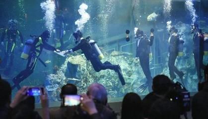 漯河水族馆vs祥龙鱼场（对比漯河水族馆和祥龙鱼场的相关信息） 全国水族馆企业名录 第1张